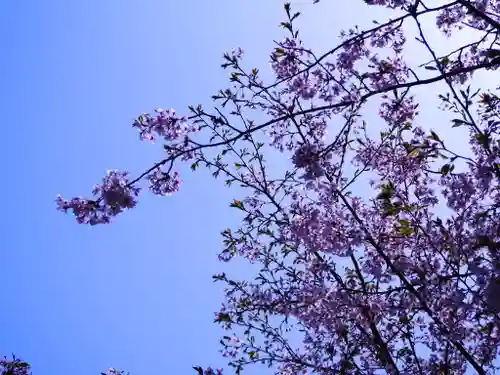 亀岡神社の自然