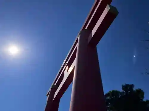 自凝島神社の鳥居