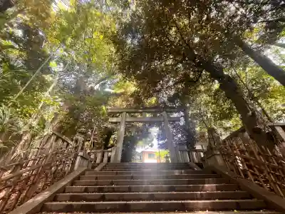 渋谷氷川神社の{uncategorized: "未分類", other: "その他", undefined: "問題あり", building: "その他建物", grave: "お墓", sacred_gate: "鳥居", guardian: "狛犬", statue: "像", buddha: "仏像", history: "歴史", nature: "自然", garden: "庭園", animal: "動物", pagoda: "塔", temizu: "手水舎", mountain_gate: "山門・神門", sanctuary: "本殿・本堂", subordinate: "末社・摂社", art: "芸術", scenery: "景色", jizo: "地蔵", ema: "絵馬", goshuin: "御朱印", omikuji: "おみくじ", items: "授与品その他", amulet: "お守り", goshuincho: "御朱印帳", eats: "食事", festival: "お祭り", votive_dance: "神楽", shichigosan: "七五三参", wedding: "結婚式", experience: "体験その他", initially: "初詣", around: "周辺", anti_infection: "感染症対策"}
