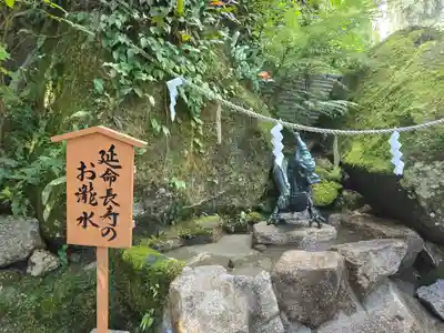 飛瀧神社(熊野那智大社別宮)(和歌山県)