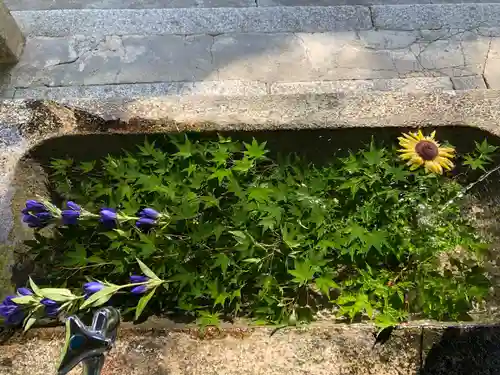 三輪神社の手水