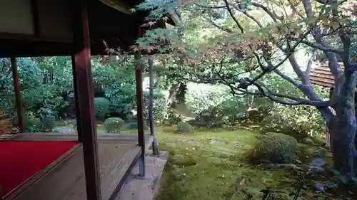 桂春院の庭園