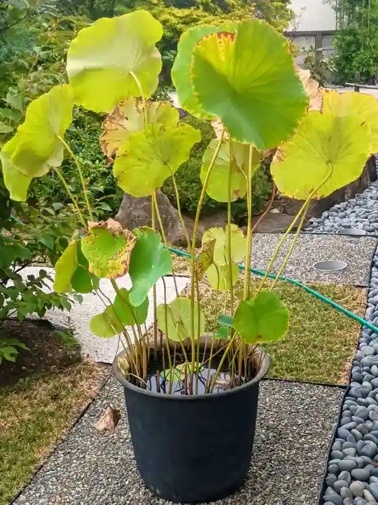 源正寺(東京都)