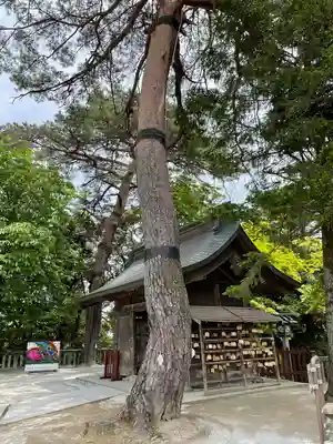 唐澤山神社(栃木県)