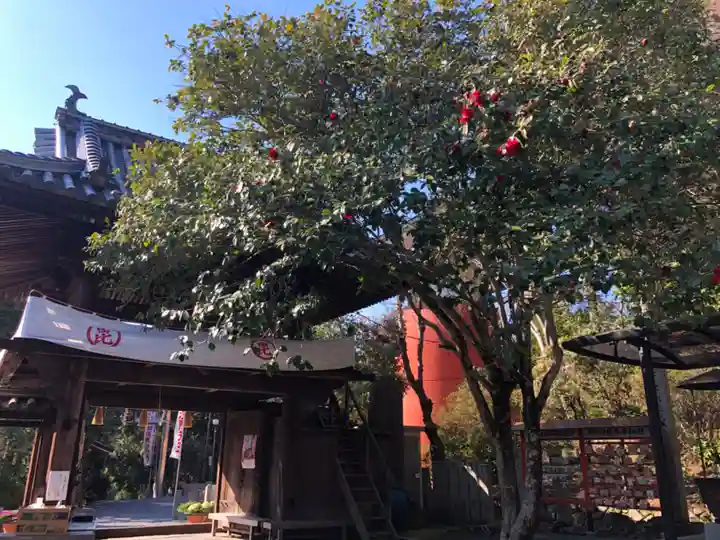 安養寺の山門・神門
