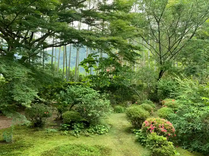 宝泉院(京都府)