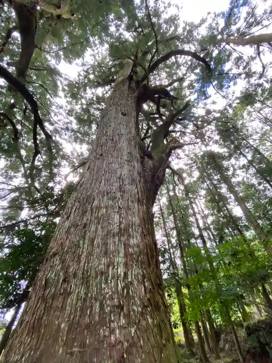 熊野那智大社(和歌山県)
