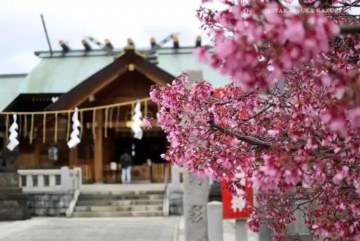 石濱神社(東京都)