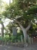 加茂神社(静岡県)