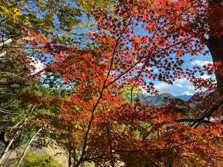 国宝 大法寺(長野県)