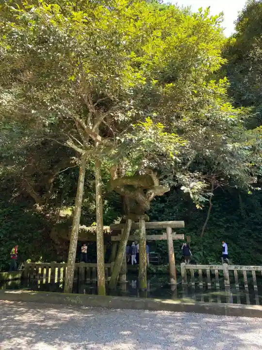 鹿島神宮(茨城県)