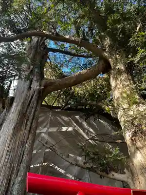 涼ケ岡八幡神社(福島県)