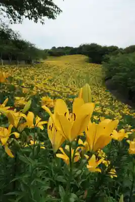西樂寺(静岡県)