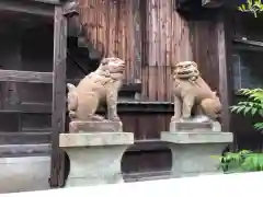 泊神社の狛犬