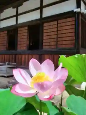 長善寺(東京都)