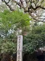 新熊野神社のその他建物