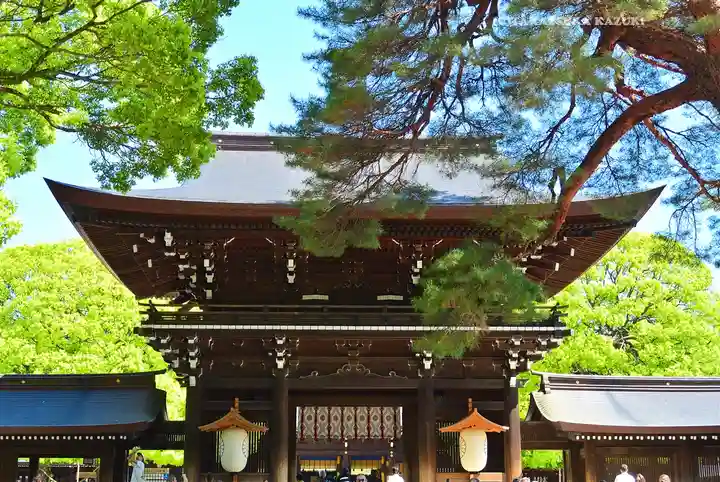 明治神宮(東京都)