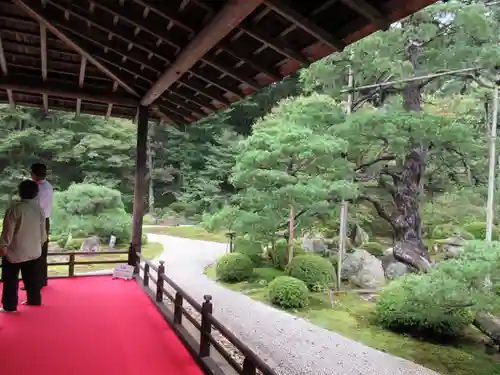 曼殊院門跡の庭園