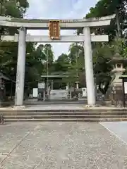 針綱神社の鳥居