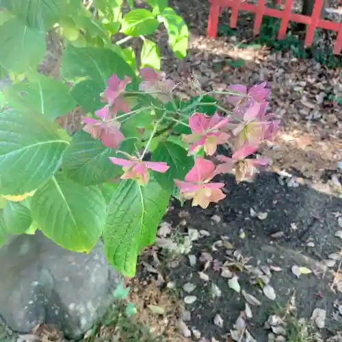 鹿島神社(和歌山県)