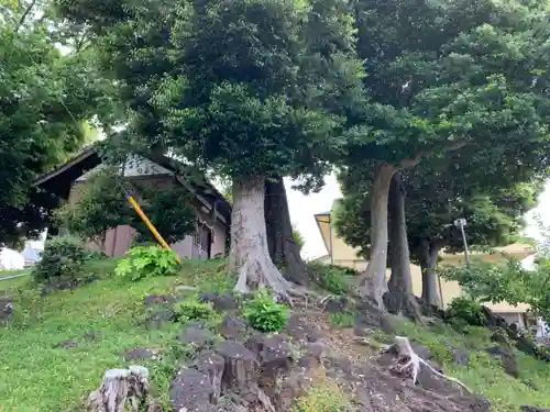 山神神社の自然