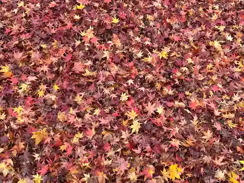 禅林寺（永観堂）(京都府)
