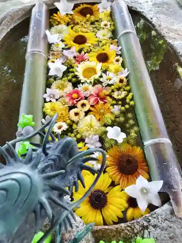 立志神社の手水舎