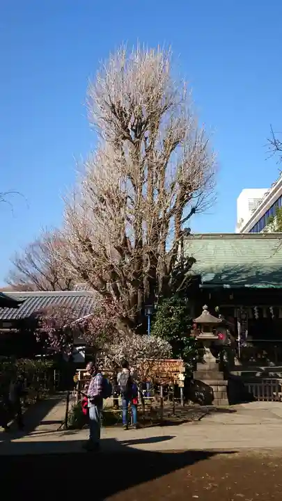 五條天神社の自然