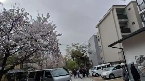 安井金比羅宮(京都府)