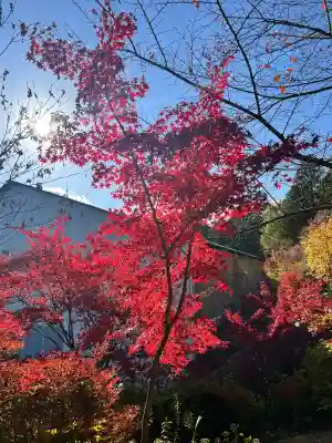 善水寺(滋賀県)