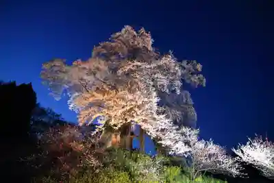 天神さまの祠の自然