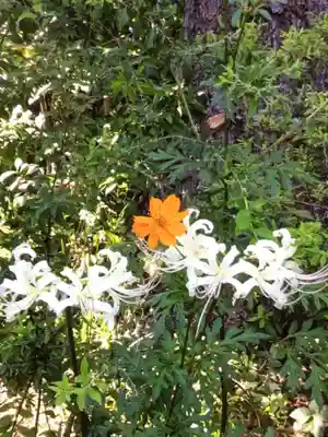 鷺宮八幡神社(東京都)