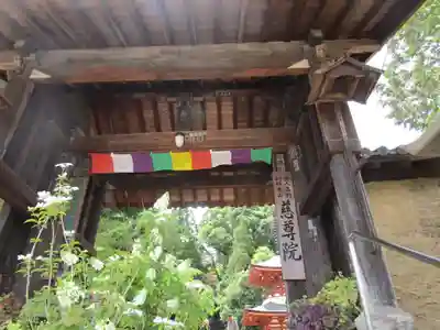 慈尊院(和歌山県)