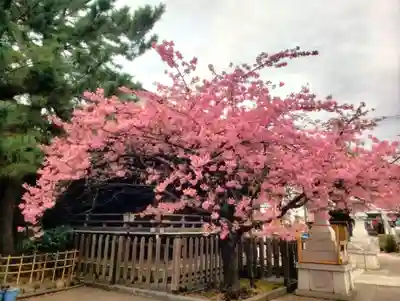 新宿下落合氷川神社(東京都)