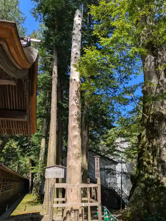 諏訪大社(長野県)