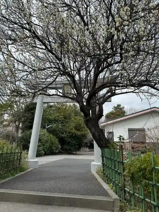 菅原神社(子安天満宮)(東京都)