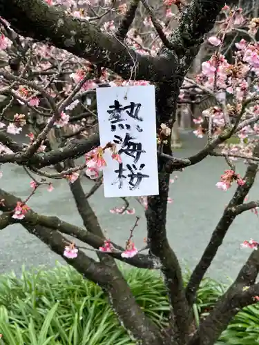 鎮國寺(福岡県)