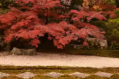 天授庵(京都府)