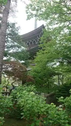 道場寺のその他建物