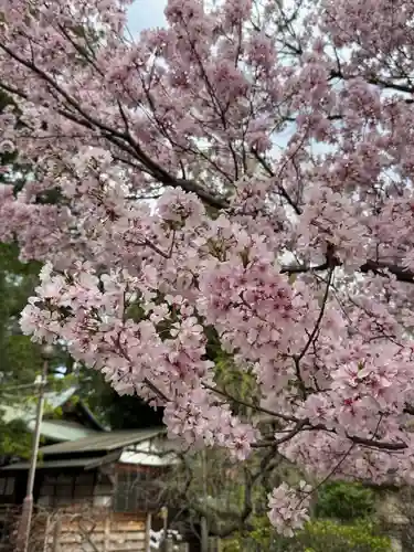八雲氷川神社(東京都)
