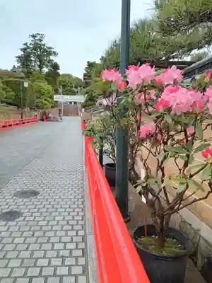 中山寺(兵庫県)