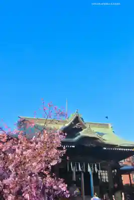 桜神宮(東京都)