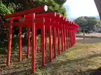 浅黄稲荷の鳥居