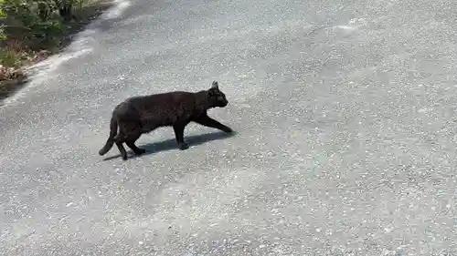 頂妙寺(京都府)