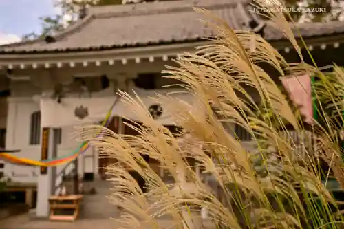 福泉寺の本殿・本堂