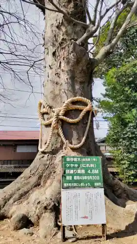 出雲大社相模分祠(神奈川県)