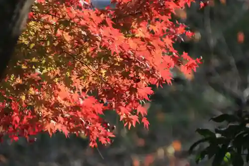 開成山大神宮の庭園