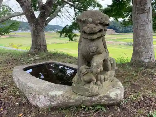 天満神社の狛犬