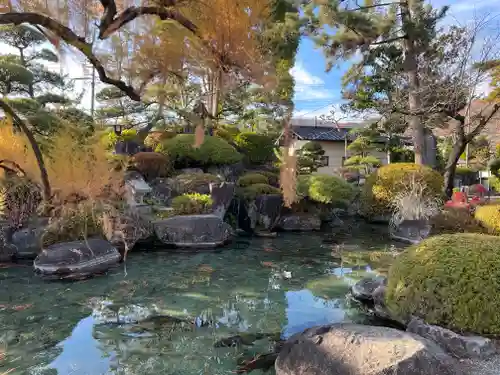 甲斐善光寺の庭園