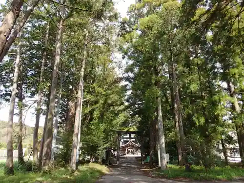 小村神社の自然